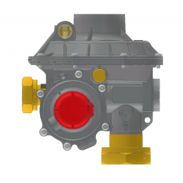 R25 N